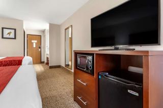 Comfort Inn Grand Island North - Grand Island - 3
