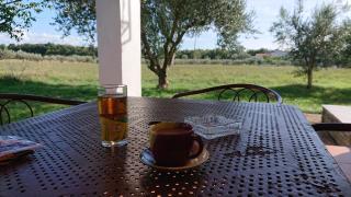 Apartment Bozana 2 - 9