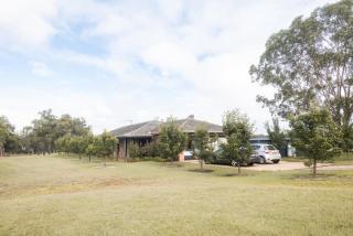 The Tatler Lodge - Lovedale - 6