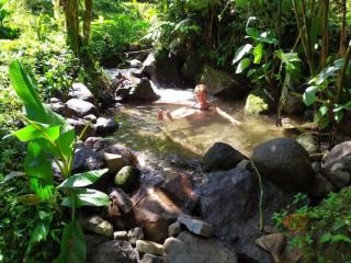 Mindo Eco Chalet con Rio y Cascada - Mindo - 4