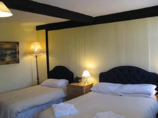 The Red Lion Hotel - 7