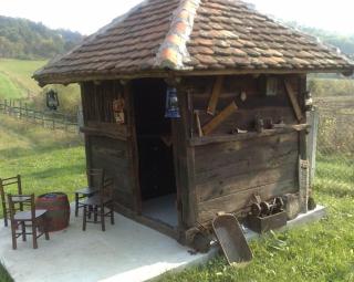Vila Rodjak sa sela - Mionica - 5
