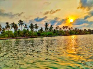Paradise Lagoon - 5