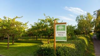 Orchard Farm Luxury Glamping and Campsite - 5