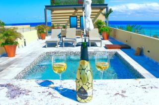 Singular Joy Vacation Rentals - Playa del Carmen - 3