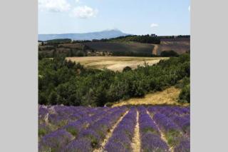 chambre d hôtes dans le Vaucluse - Mazan - 1