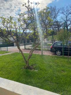 Apartmani Zelenika - 6
