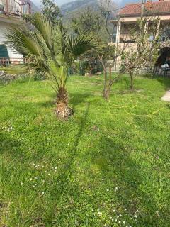 Apartmani Zelenika - 3