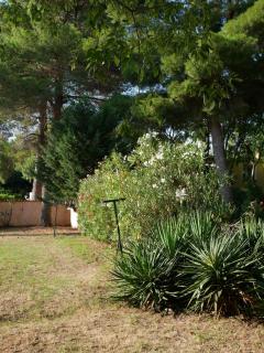 Gites de la Massane - Argelès-sur-Mer - 1