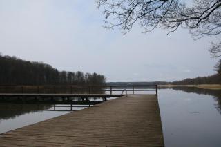 Całoroczny dom wakacyjny Kotkowo 93 - 1