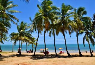 P&M'S Porto Seguro Taperapuan - Porto Seguro - 0