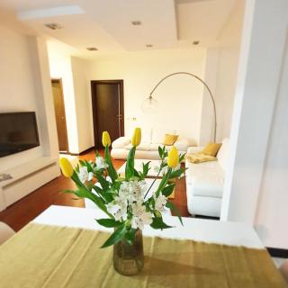 Harmony Apartmani Arandjelovac - Arandjelovac - 3