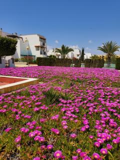 APARTAMENTO NATURISTA en PRIMERA LÍNEA DE VERA PLAYA!!! - Las Bombardas - 4