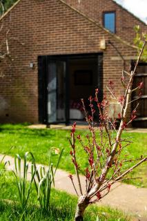 The Mills Guesthouse - Hatfield - 7