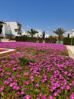 APARTAMENTO en PRIMERA LÍNEA DE VERA PLAYA NATURISTA! - Vera - 7