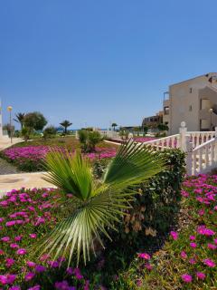 APARTAMENTO en PRIMERA LÍNEA DE VERA PLAYA NATURISTA! - Vera - 9