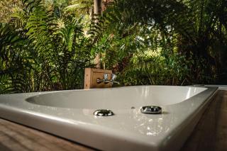 Franz Josef Treetops - 7