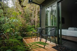 Forest View Franz Josef - 6