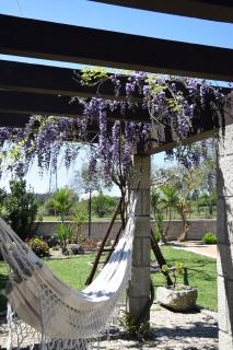 Alagoas4Family - Country House - Arouca - 1