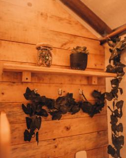 Glamping rio frio Tabio - Tabio - 1