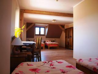 Apartament Skłodowo Mazury - Harsz - 4
