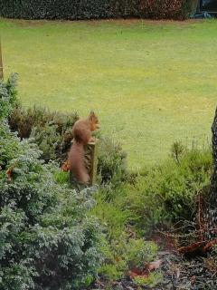 Ard Darach Cottage - very central - Pitlochry - 6