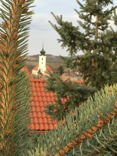 Kékház Vendégház - 7