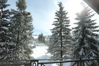 Mipet apartmani - Zlatibor - 2