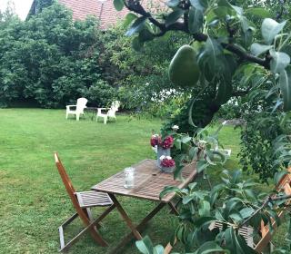 Agrita Home - Wittisheim - 7