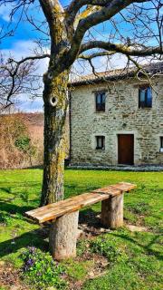 B&B BOSCOVECCHIO - Assisi - 7