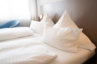 ates Hotel Kehl - Kehl am Rhein - 5