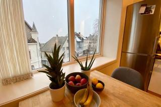 Nice and central apartment in quiet area - 6