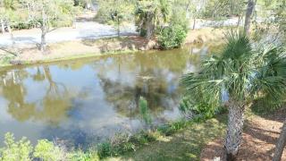 Elegant 3 BR 3 BA Wild Dunes Gated Resort Villa with 2 Golf Courses, Beach and Pool - 2