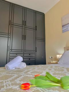 Olive Tree Apartments - Lefkada - 3