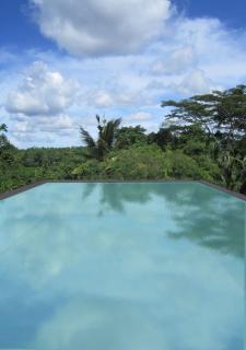 Kupu Kupu Barong Villas and Tree Spa by L’OCCITANE - 9