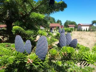 Päevatalu Camping - Vilusi - 0