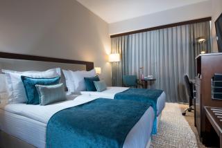 Radisson Blu Ankara - Ankara - 7