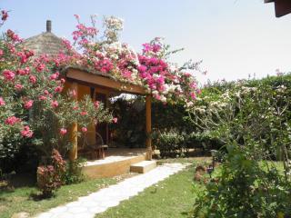 Le Dakan - Saly Portudal - 4