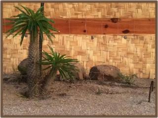 Camp - Santos Cabana Santino - 6