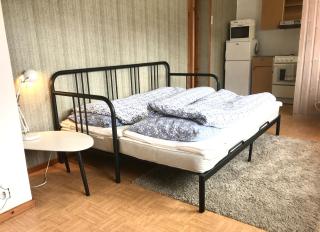 Villa Holmen 2 - Ground floor apartment - Balestrand - 3
