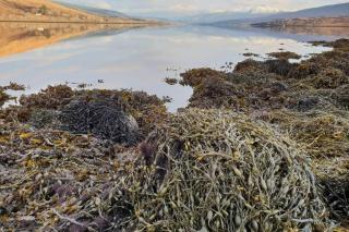 Gasgan. Large croft house with amazing loch views - Fort William - 3