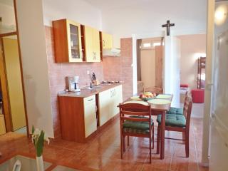 Apartment Blue Ivy near the beach - Jasenice - 6