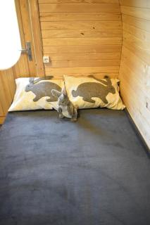 Usmas zaķīšu pirtiņa - Bunny house - 4