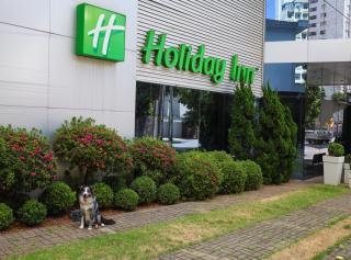 Holiday Inn Belo Horizonte Savassi by IHG - 9