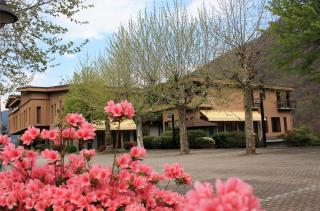 Albergo Ristorante Cicin - Casale Corte Cerro - 0