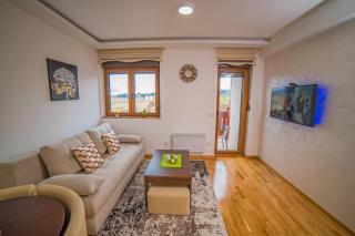 Apartman Zlatiborski Dar - Zlatibor - 9