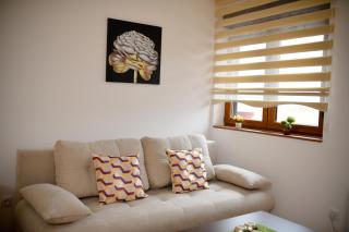 Apartman Zlatiborski Dar - Zlatibor - 8