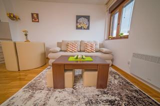 Apartman Zlatiborski Dar - Zlatibor - 5