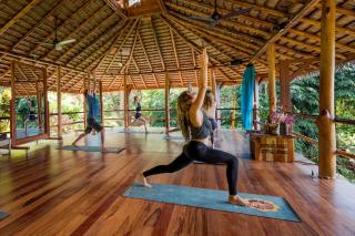 Selva Armonia Immersive Jungle Resort - Uvita - 7