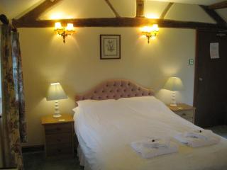 The Red Lion Hotel - Bredwardine - 7